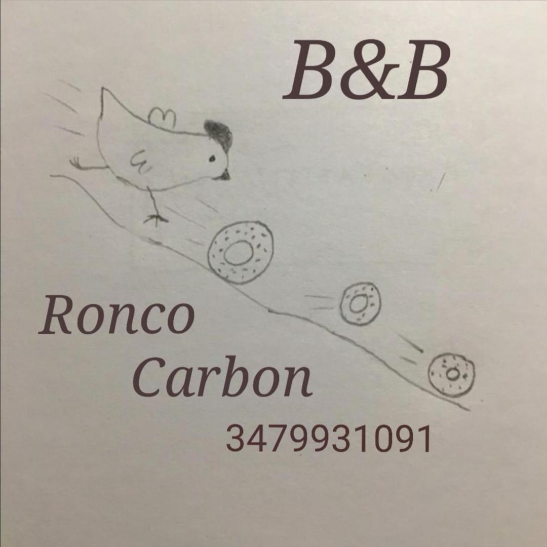 B&B Ronco Carbon Gallio Esterno foto